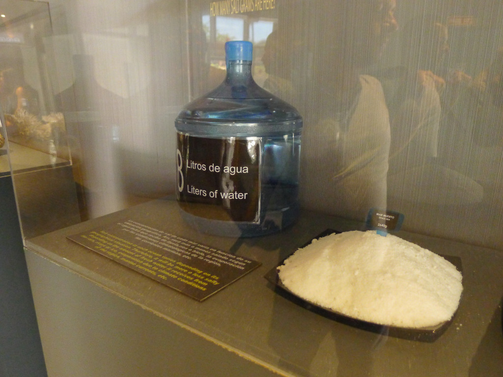 Натиснете снимката за да я уголемите
Име:P1060629.jpg
Прегледи:1
Размер:182.9 КБ
ID:5731621