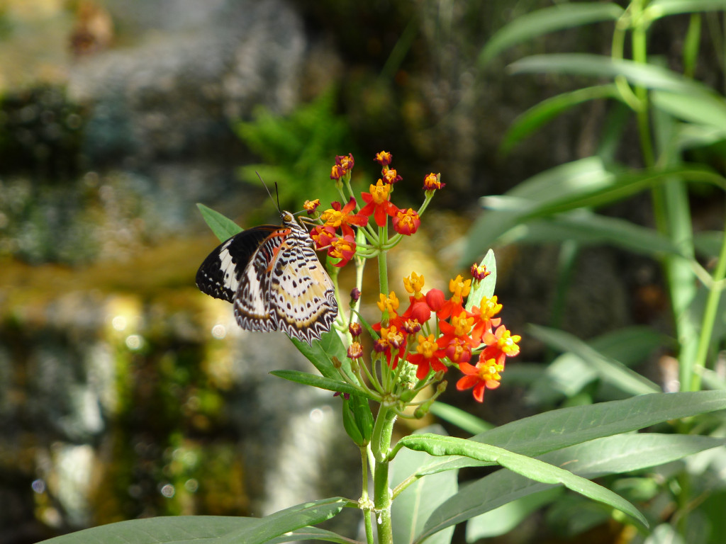 Натиснете снимката за да я уголемите
Име:P1060627.jpg
Прегледи:1
Размер:195.9 КБ
ID:5731626