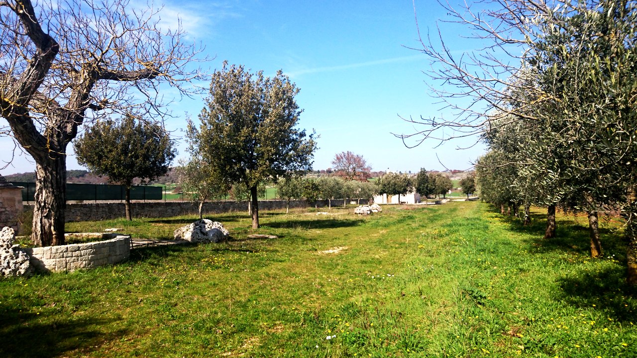 Натиснете снимката за да я уголемите
Име:rsz_dsc_0425.jpg
Прегледи:1
Размер:417.2 КБ
ID:5760999