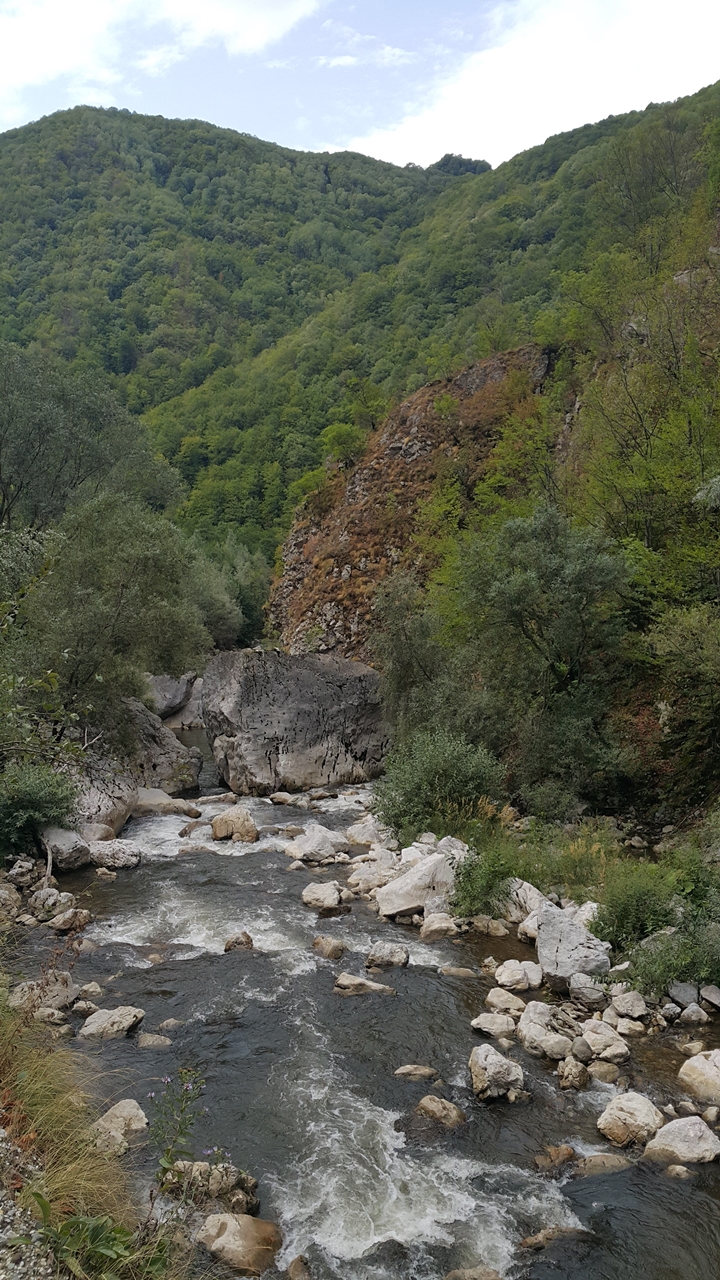 Натиснете снимката за да я уголемите
Име:20170821_134613.jpg
Прегледи:1
Размер:910.5 КБ
ID:6139418