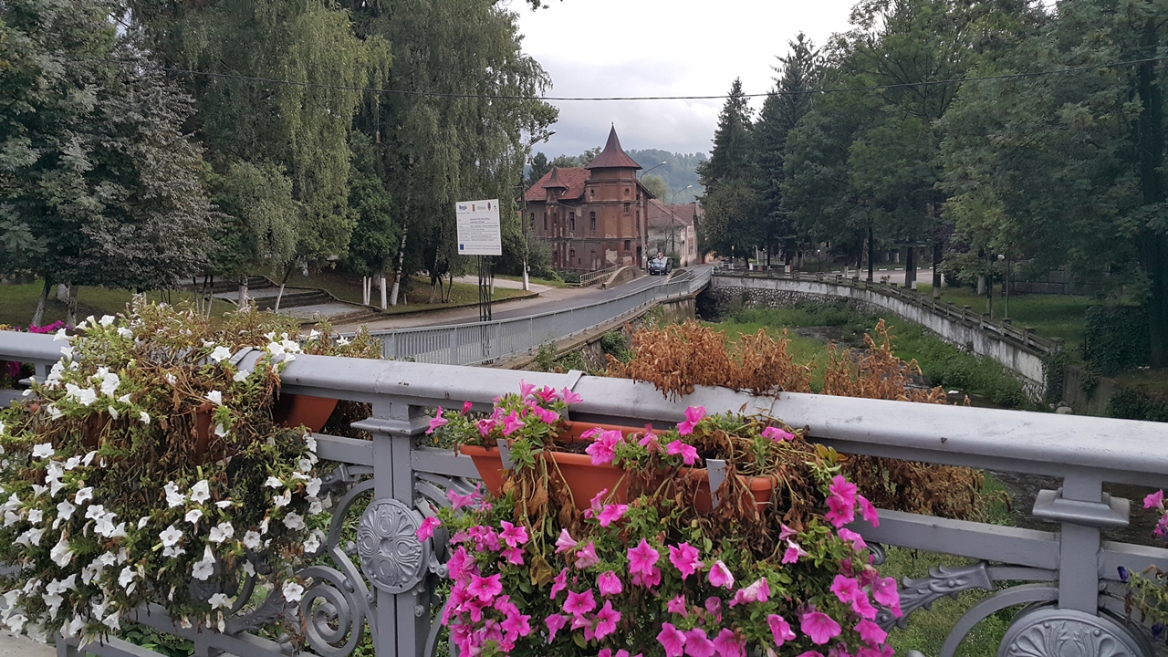 Натиснете снимката за да я уголемите
Име:20170821_195307.jpg
Прегледи:1
Размер:943.6 КБ
ID:6139431