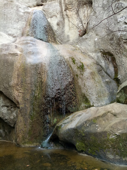 Натиснете снимката за да я уголемите
Име:Solnik_otdolu_20171228_122859.jpg
Прегледи:1
Размер:110.8 КБ
ID:6141440