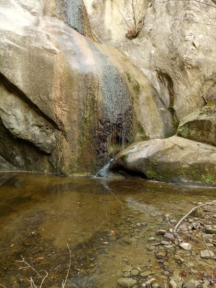 Натиснете снимката за да я уголемите
Име:Solnik_otdolu_20171228_122937.jpg
Прегледи:1
Размер:114.4 КБ
ID:6141443
