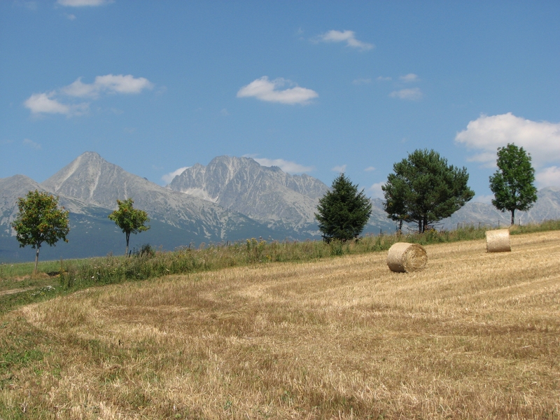 Натиснете снимката за да я уголемите
Име:IMG_0764.JPG
Прегледи:2
Размер:416.5 КБ
ID:6030845