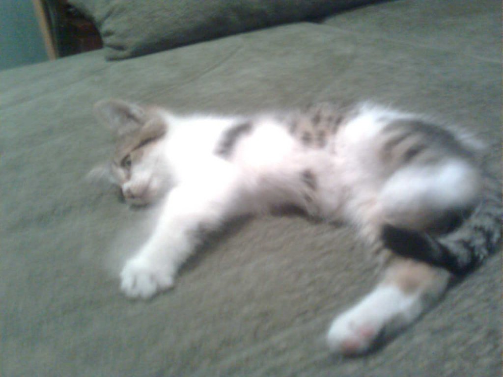 Натиснете снимката за да я уголемите
Име:Image0297.jpg
Прегледи:2
Размер:72.4 КБ
ID:5894315