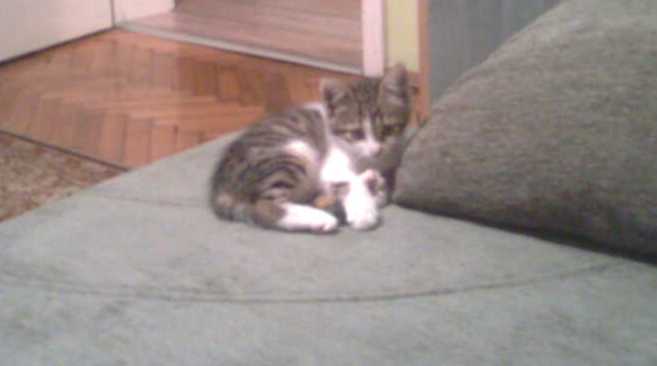 Натиснете снимката за да я уголемите
Име:Image0295.jpg
Прегледи:2
Размер:20.2 КБ
ID:5894316