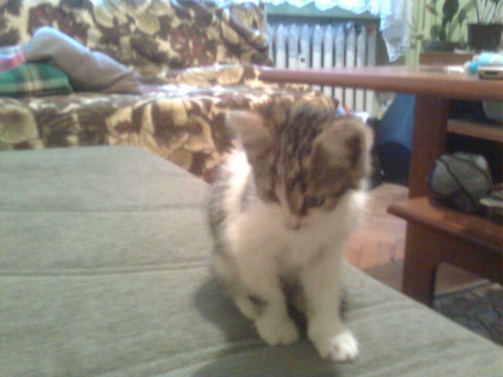 Натиснете снимката за да я уголемите
Име:Image0283.jpg
Прегледи:2
Размер:87.8 КБ
ID:5894317