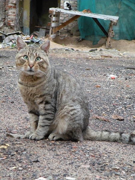 Натиснете снимката за да я уголемите
Име:DSCN8683.JPG
Прегледи:2
Размер:297.0 КБ
ID:6030871