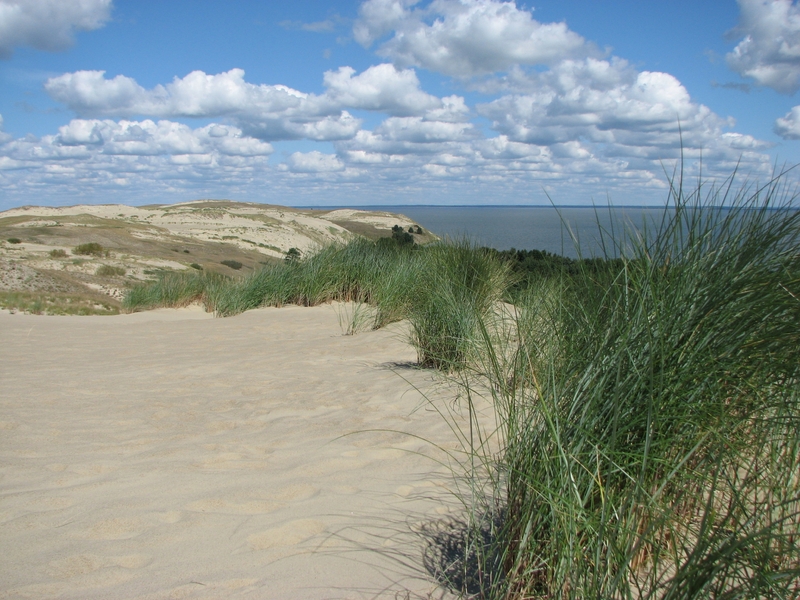 Натиснете снимката за да я уголемите
Име:IMG_1221.JPG
Прегледи:2
Размер:417.5 КБ
ID:6030909