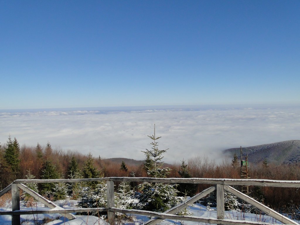 Натиснете снимката за да я уголемите
Име:DSC00621.jpg
Прегледи:4
Размер:118.3 КБ
ID:5439381