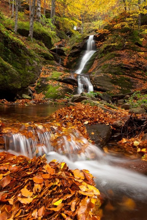 Натиснете снимката за да я уголемите
Име:IMGP4747-r.jpg
Прегледи:3
Размер:135.7 КБ
ID:6030769