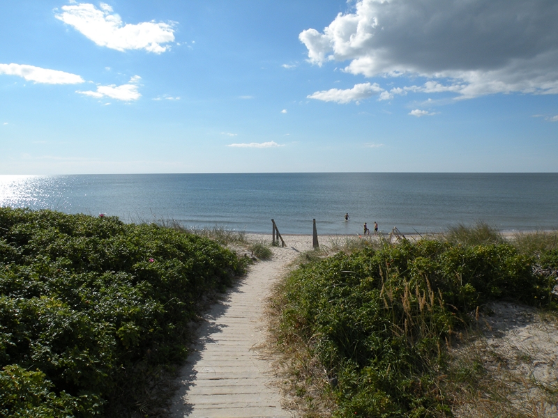 Натиснете снимката за да я уголемите
Име:DSCN9520.JPG
Прегледи:2
Размер:415.9 КБ
ID:6030906