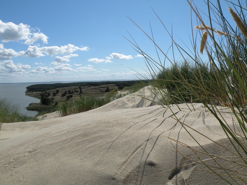 Натиснете снимката за да я уголемите
Име:DSCN9447.JPG
Прегледи:2
Размер:455.2 КБ
ID:6030903