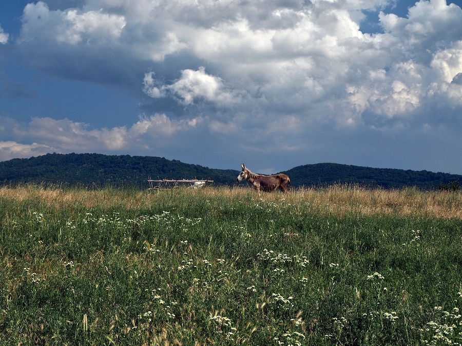 Натиснете снимката за да я уголемите
Име:P6273695.JPG
Прегледи:2
Размер:458.8 КБ
ID:6021242