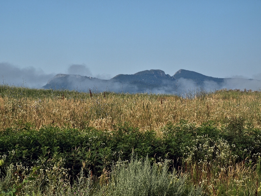 Натиснете снимката за да я уголемите
Име:P6283773.JPG
Прегледи:2
Размер:462.7 КБ
ID:6021250
