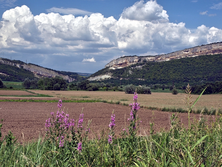 Натиснете снимката за да я уголемите
Име:P6273647.JPG
Прегледи:2
Размер:494.4 КБ
ID:6021234