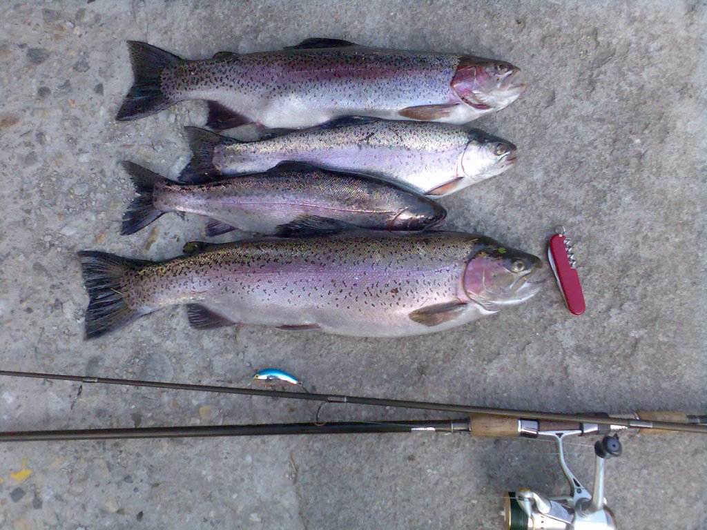 Натиснете снимката за да я уголемите
Име:Изображ.065.jpg
Прегледи:1
Размер:185.1 КБ
ID:5750432