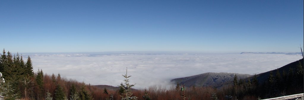 Натиснете снимката за да я уголемите
Име:DSC00620.jpg
Прегледи:4
Размер:40.5 КБ
ID:5439380