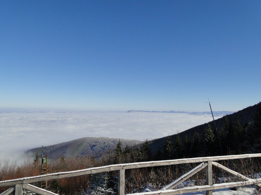 Натиснете снимката за да я уголемите
Име:DSC00622.jpg
Прегледи:4
Размер:101.8 КБ
ID:5439382