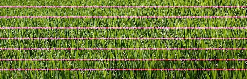 Натиснете снимката за да я уголемите

Име:Grass-Stripes.jpg
Прегледи:1
Размер:361.4 КБ
ID:5694913