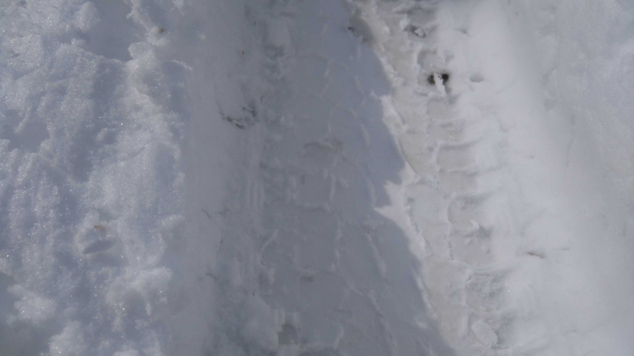 Натиснете снимката за да я уголемите
Име:DSC_1662.jpg
Прегледи:1
Размер:168.4 КБ
ID:5782240