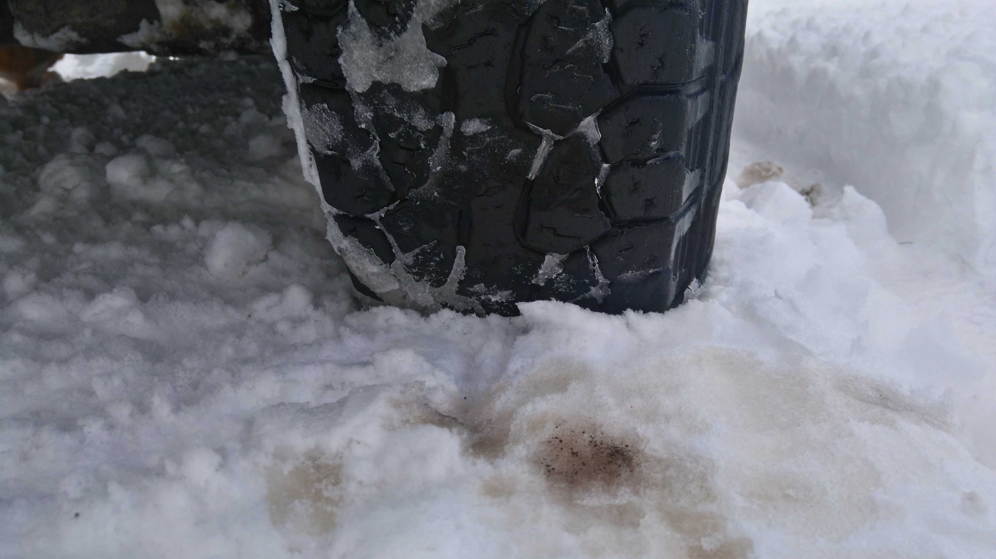 Натиснете снимката за да я уголемите
Име:DSC_1664.jpg
Прегледи:1
Размер:238.5 КБ
ID:5782242