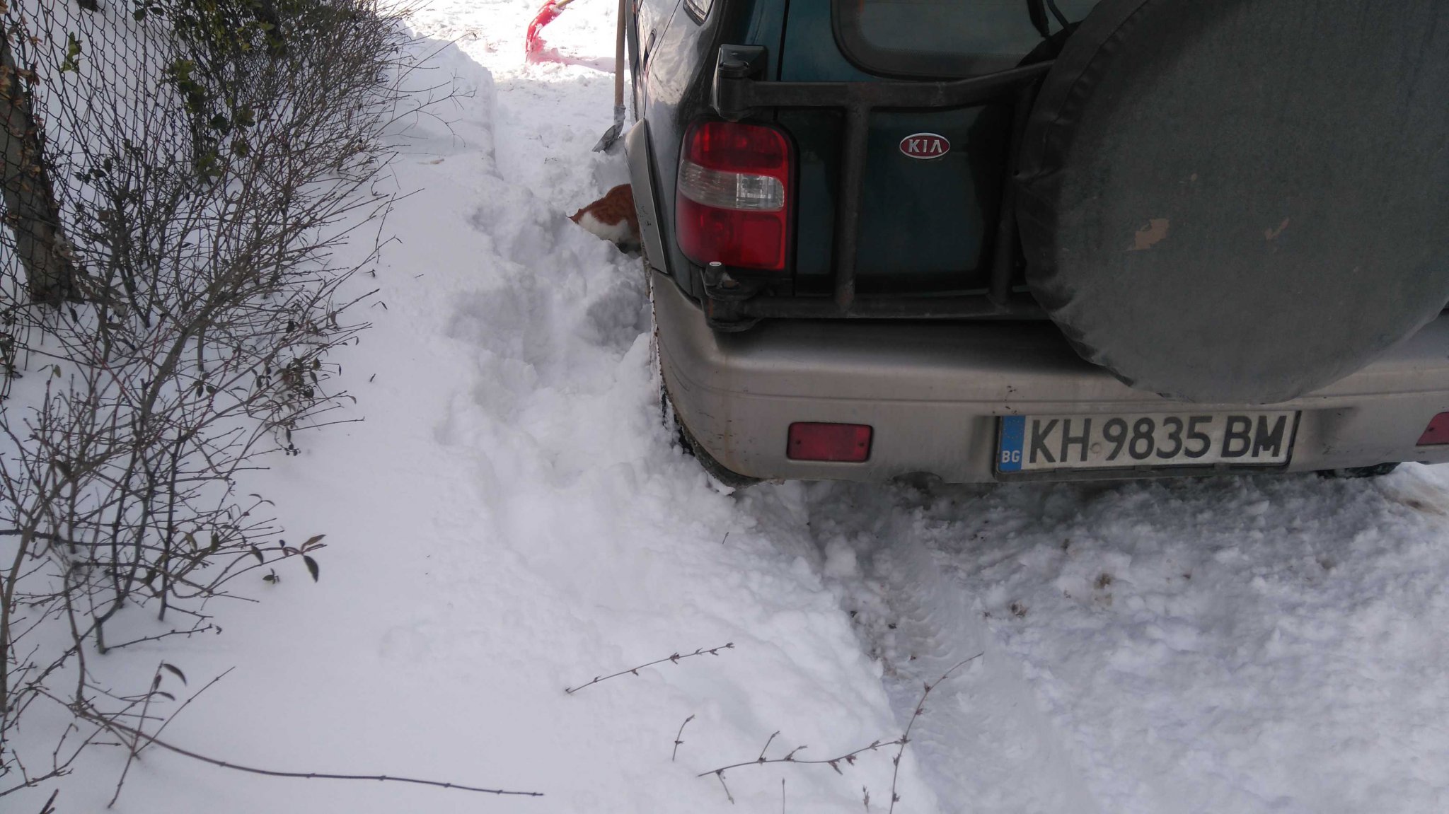 Натиснете снимката за да я уголемите
Име:DSC_1666.jpg
Прегледи:1
Размер:322.5 КБ
ID:5782244