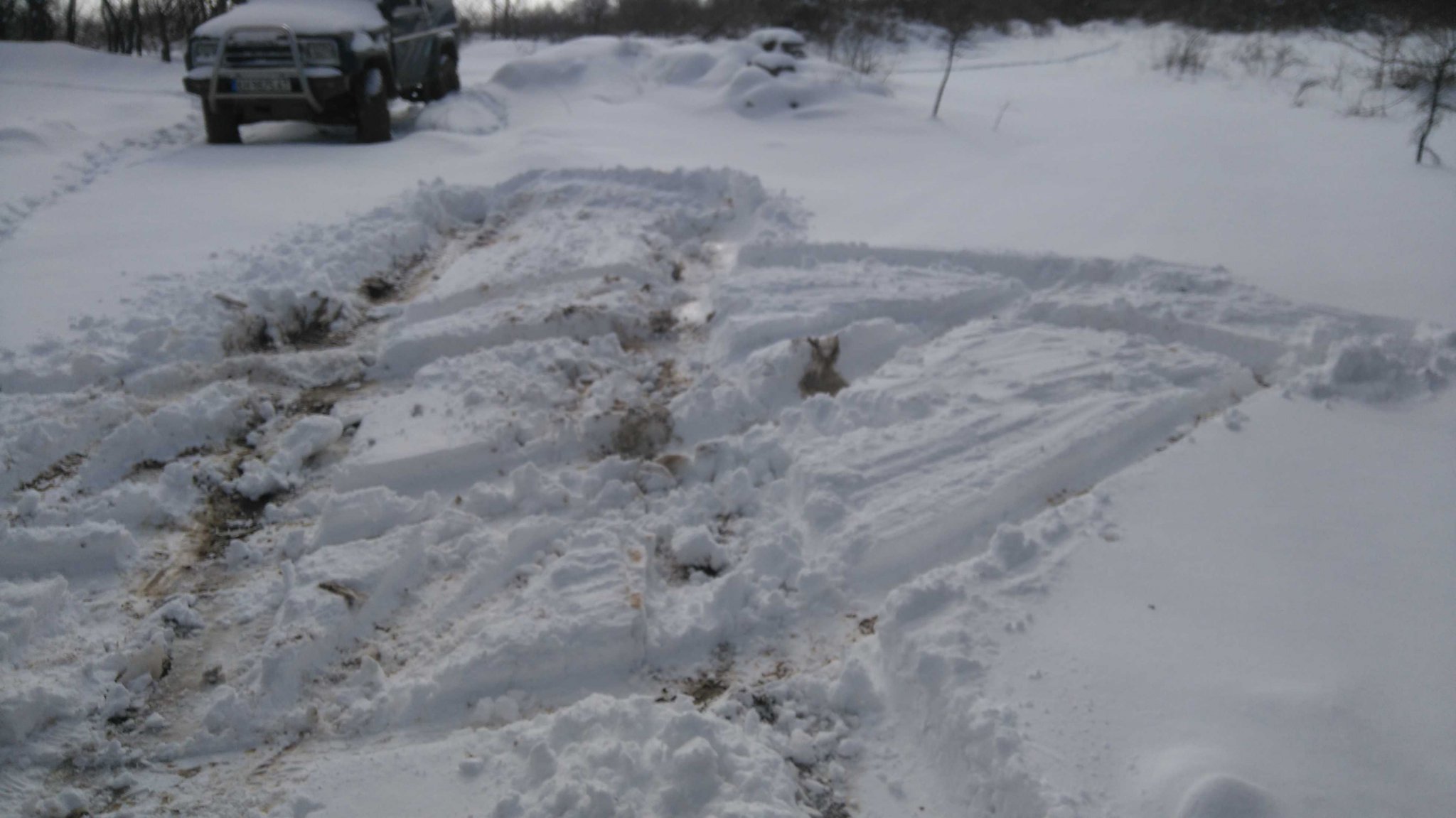 Натиснете снимката за да я уголемите
Име:DSC_1667.jpg
Прегледи:1
Размер:208.3 КБ
ID:5782245