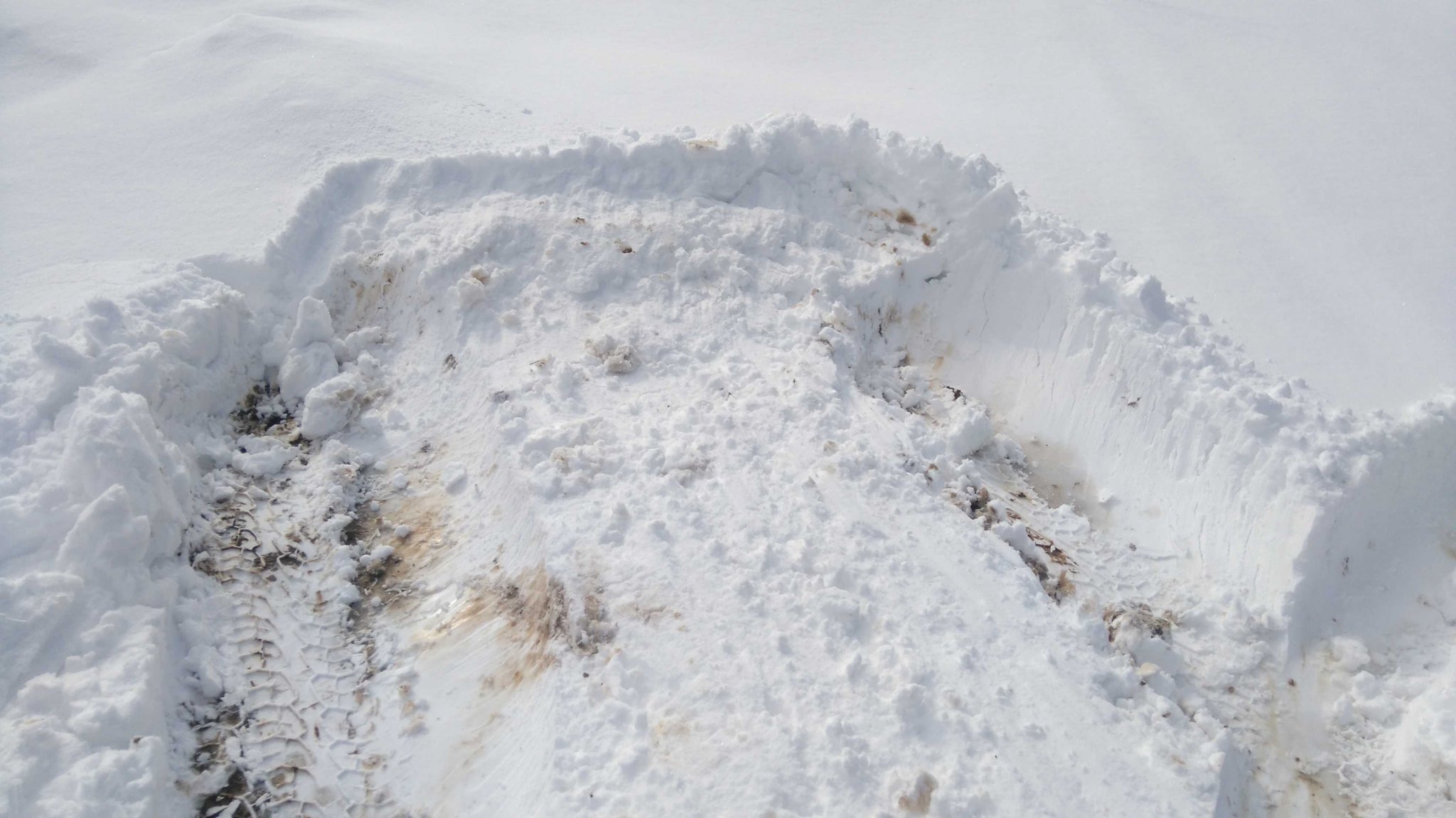 Натиснете снимката за да я уголемите
Име:DSC_1668.jpg
Прегледи:1
Размер:264.8 КБ
ID:5782246