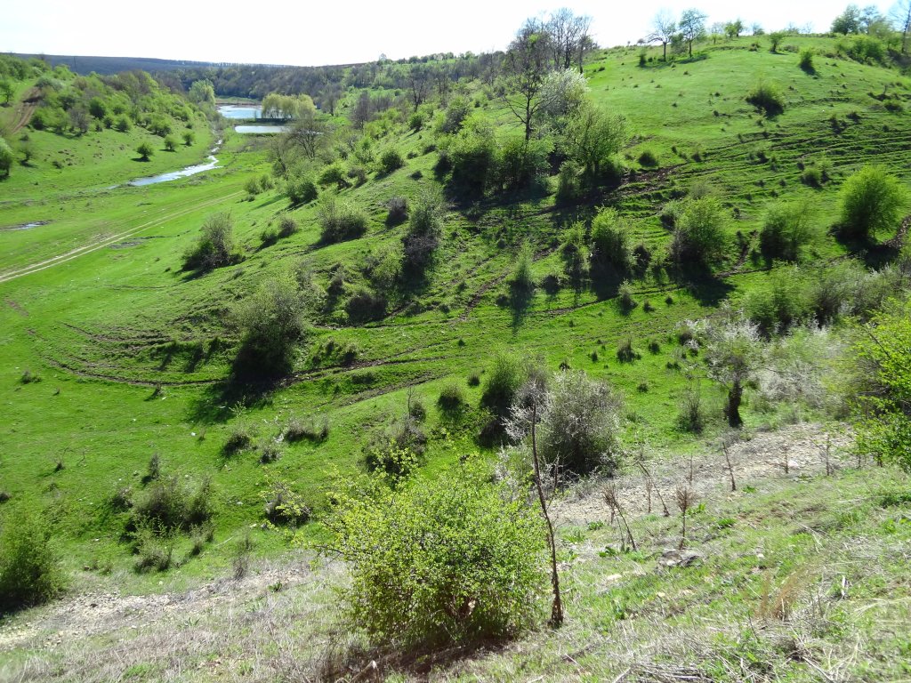 Натиснете снимката за да я уголемите
Име:DSC01130.jpg
Прегледи:1
Размер:288.9 КБ
ID:5968963