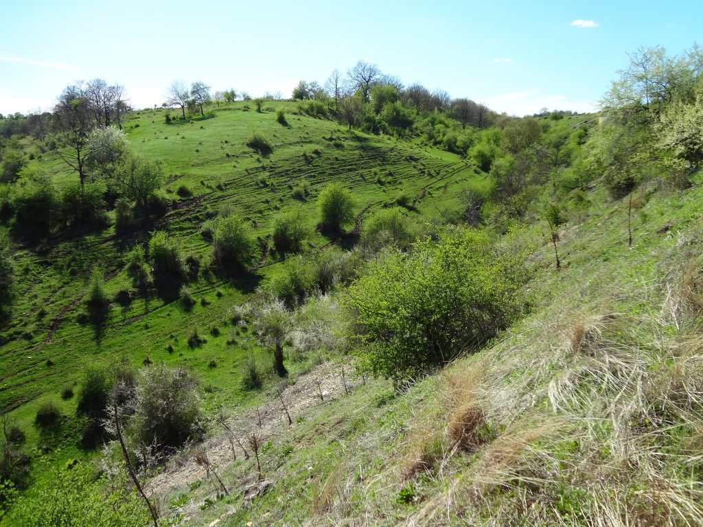 Натиснете снимката за да я уголемите
Име:DSC01131.jpg
Прегледи:1
Размер:265.8 КБ
ID:5968964