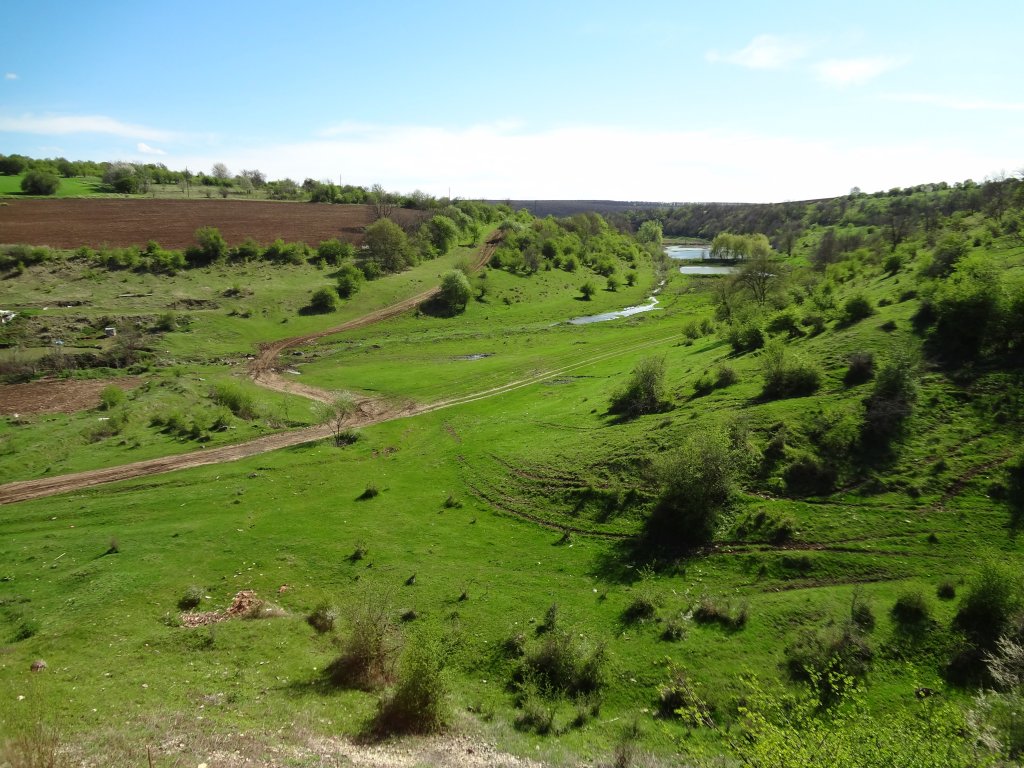 Натиснете снимката за да я уголемите
Име:DSC01132.jpg
Прегледи:1
Размер:190.0 КБ
ID:5968965