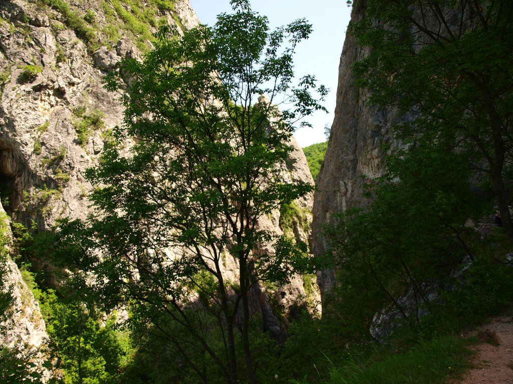 Натиснете снимката за да я уголемите
Име:P6093527.jpg
Прегледи:1
Размер:274.4 КБ
ID:5974904