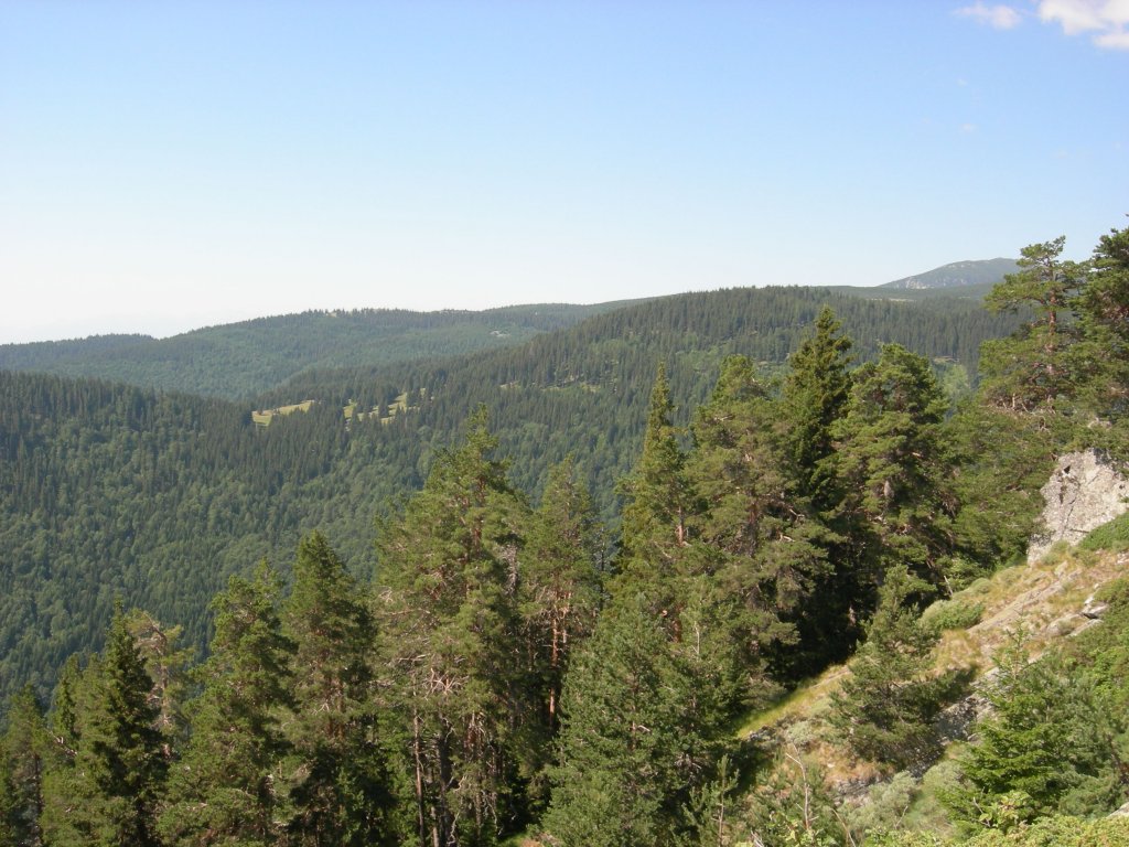 Натиснете снимката за да я уголемите
Име:DSCN0787.jpg
Прегледи:1
Размер:174.7 КБ
ID:5978750