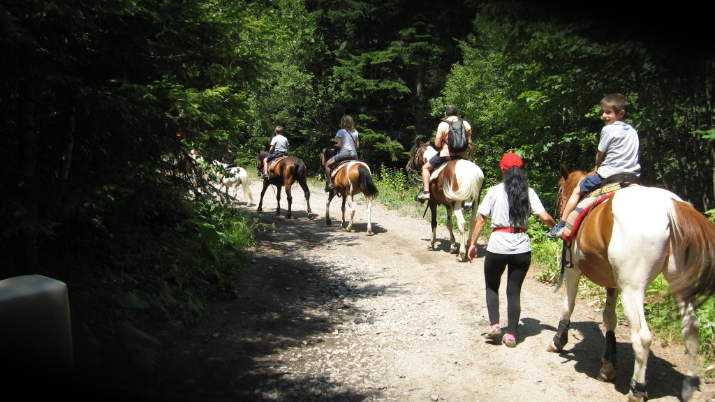 Натиснете снимката за да я уголемите
Име:IMG_1976.jpg
Прегледи:1
Размер:152.9 КБ
ID:5979476