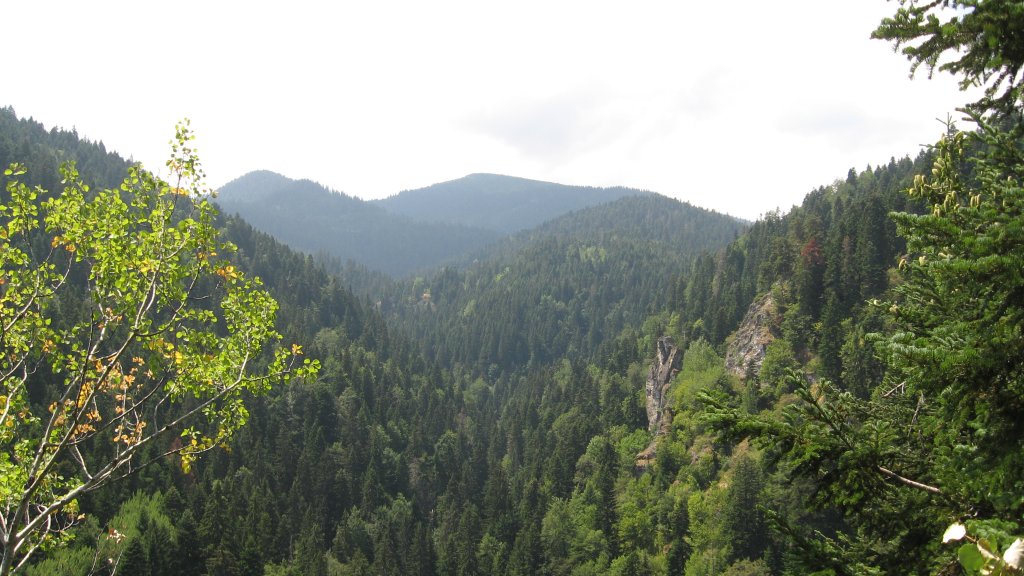 Натиснете снимката за да я уголемите
Име:IMG_1978.jpg
Прегледи:1
Размер:144.4 КБ
ID:5979478