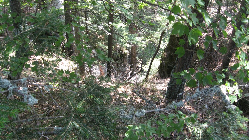 Натиснете снимката за да я уголемите
Име:IMG_1979.jpg
Прегледи:1
Размер:225.1 КБ
ID:5979479