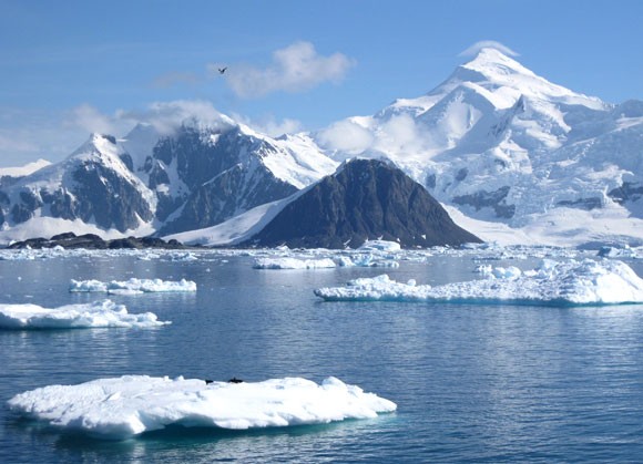 Натиснете снимката за да я уголемите
Име:Differences 1.jpg
Прегледи:1
Размер:66.6 КБ
ID:5986163