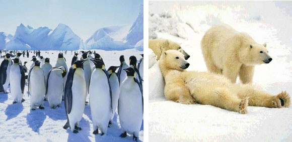 Натиснете снимката за да я уголемите
Име:Differences 4.jpg
Прегледи:1
Размер:41.3 КБ
ID:5986166