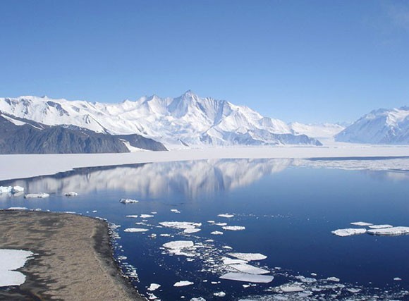 Натиснете снимката за да я уголемите
Име:Differences 7.jpg
Прегледи:1
Размер:52.8 КБ
ID:5986169