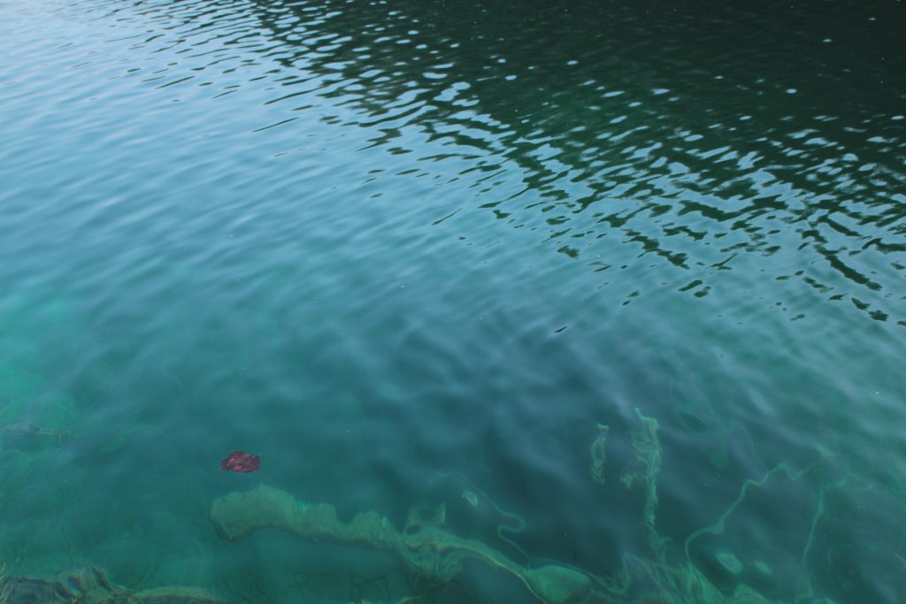 Натиснете снимката за да я уголемите
Име:IMG_5744.jpg
Прегледи:1
Размер:86.8 КБ
ID:5989236