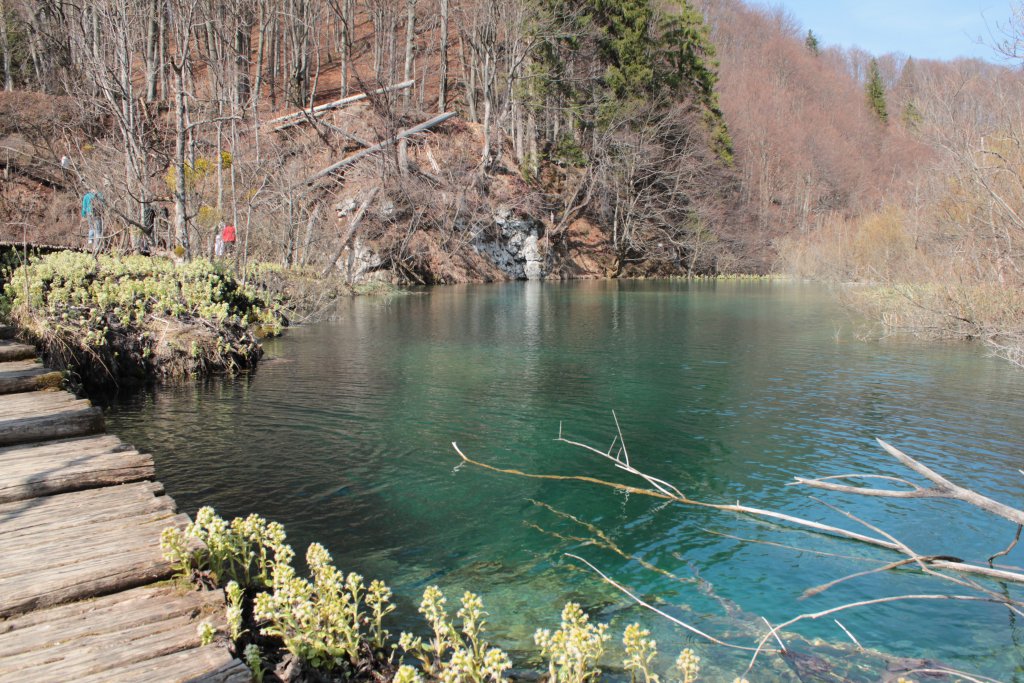 Натиснете снимката за да я уголемите
Име:IMG_5823.jpg
Прегледи:1
Размер:213.7 КБ
ID:5989239