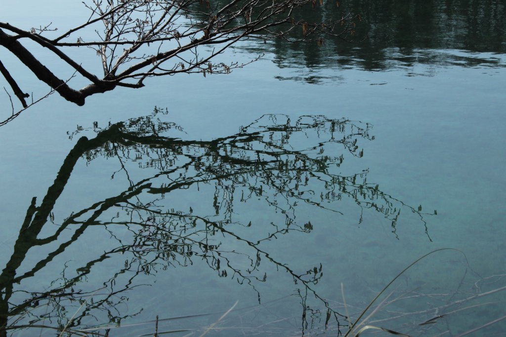 Натиснете снимката за да я уголемите
Име:IMG_5835.jpg
Прегледи:1
Размер:146.2 КБ
ID:5989242