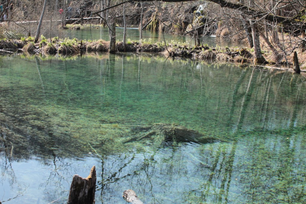 Натиснете снимката за да я уголемите
Име:IMG_5844.jpg
Прегледи:1
Размер:220.7 КБ
ID:5989244