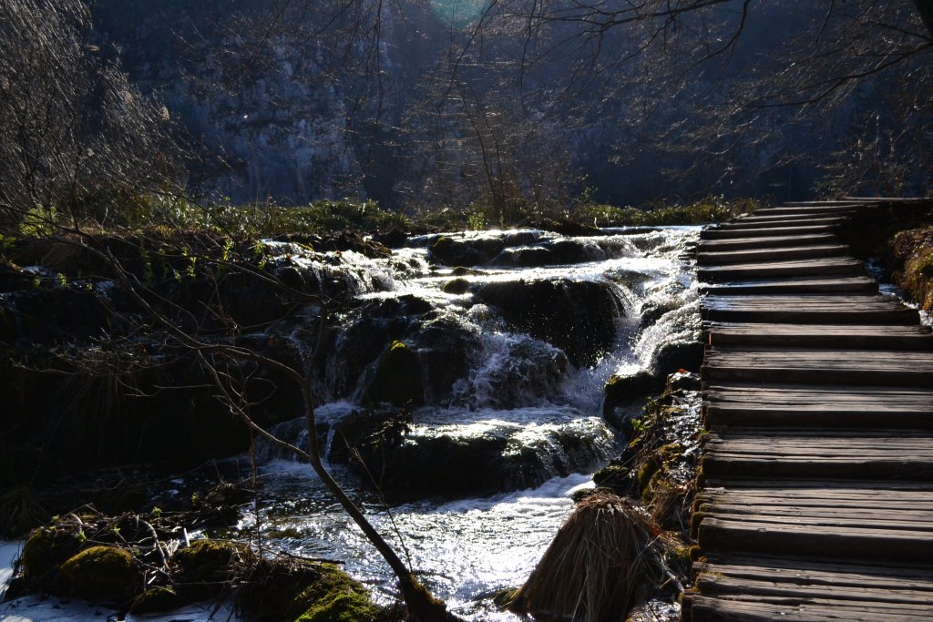 Натиснете снимката за да я уголемите
Име:DSC_2625.jpg
Прегледи:1
Размер:187.1 КБ
ID:5989245