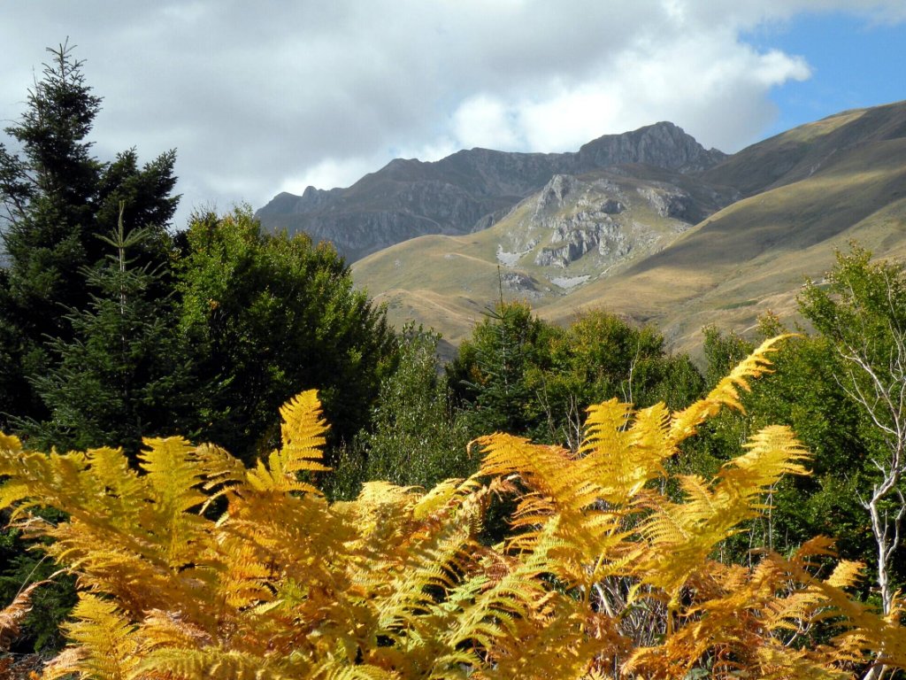 Натиснете снимката за да я уголемите
Име:1.jpg
Прегледи:1
Размер:222.7 КБ
ID:5991309