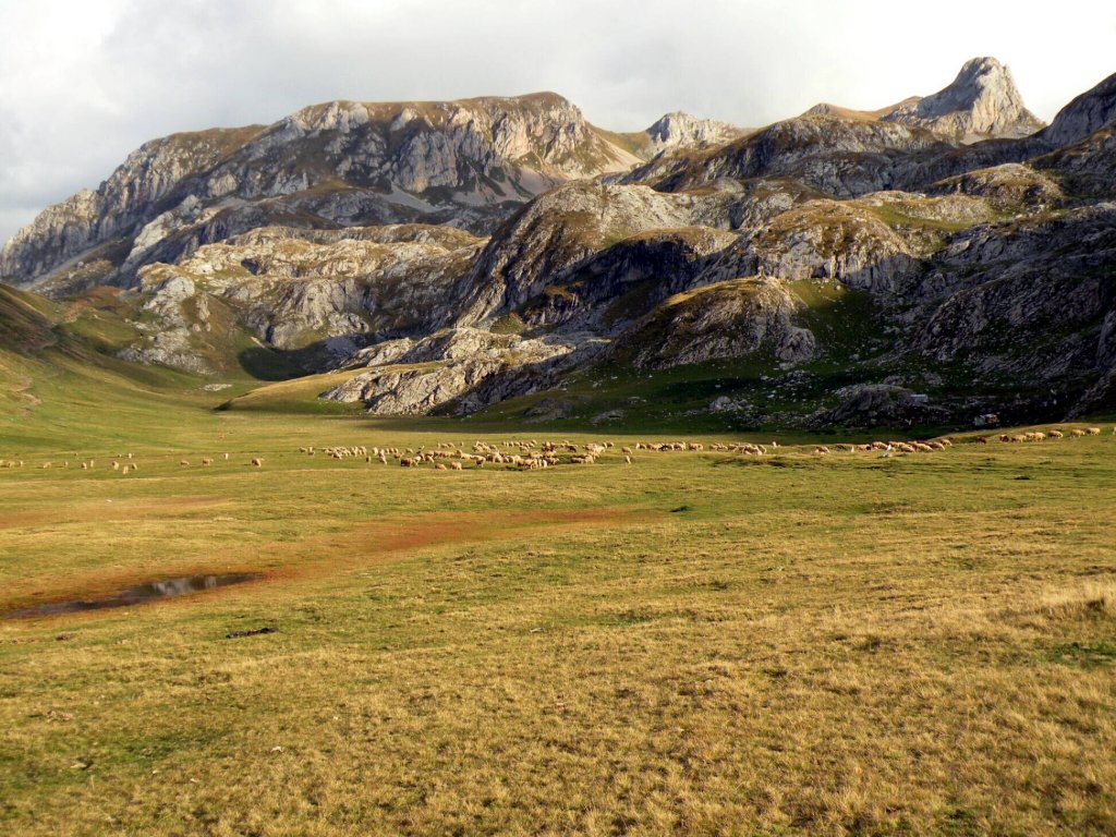 Натиснете снимката за да я уголемите
Име:2.jpg
Прегледи:1
Размер:221.3 КБ
ID:5991310