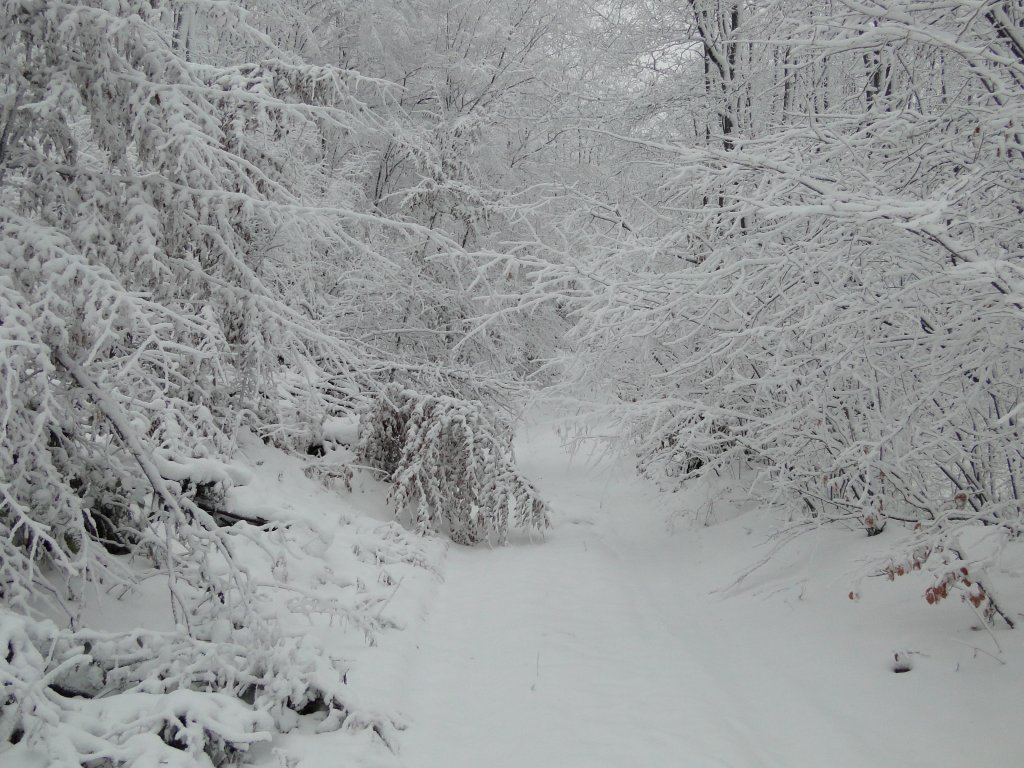 Натиснете снимката за да я уголемите
Име:DSC00427.jpg
Прегледи:2
Размер:189.4 КБ
ID:5995071