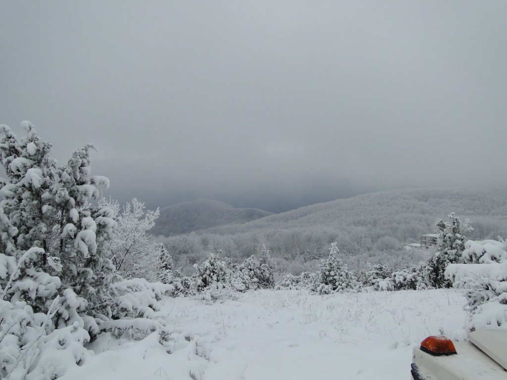 Натиснете снимката за да я уголемите
Име:DSC00439.jpg
Прегледи:2
Размер:101.7 КБ
ID:5995076