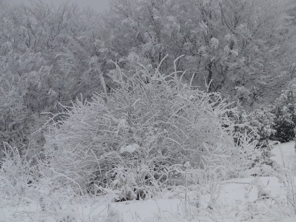 Натиснете снимката за да я уголемите
Име:DSC00436.jpg
Прегледи:2
Размер:200.5 КБ
ID:5995077